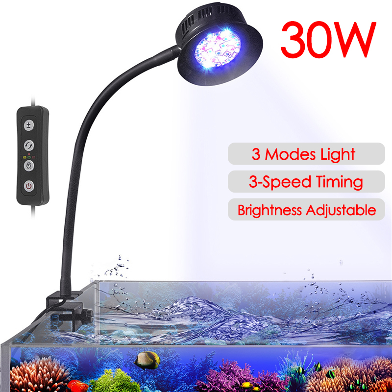 30W akwarium akwarium woda mor – Saltwater Tank recenzja i cena