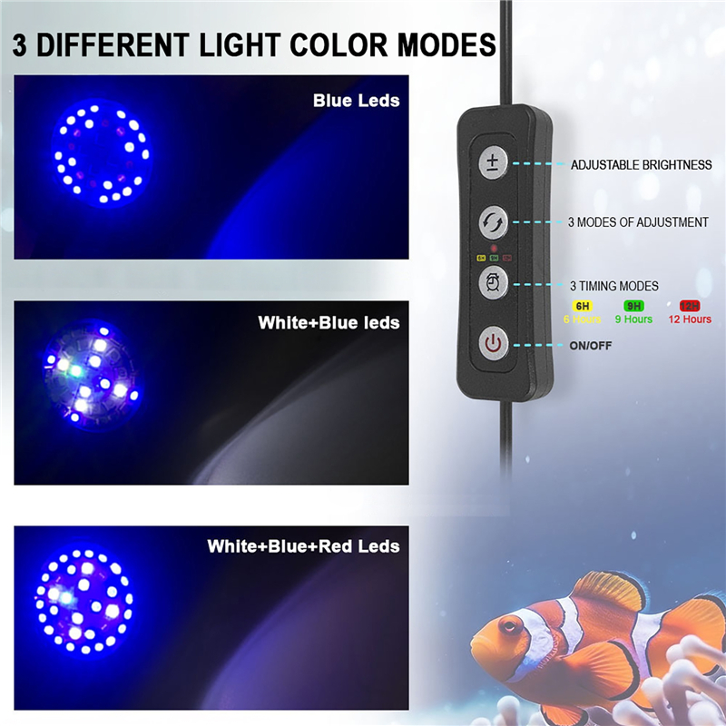 30W akwarium akwarium woda mor – Saltwater Tank recenzja i cena