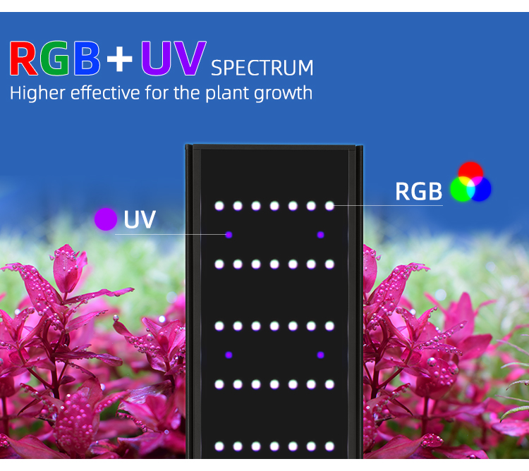 WEEK AQUA L Series APP Ściemni – Reef Lighting recenzja i cena